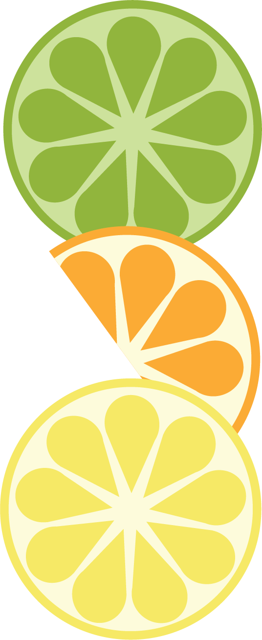 Citrus Slices Stacked